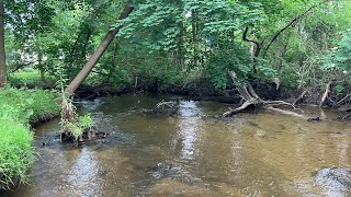 Creek Fishing for Brown Trout  Exploring a New Creek and Finding Fish [upl. by Tillion]