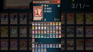 Jesse Kottons Salamangreat Decklist WCS 2024 jessekottonygo [upl. by Iveel615]