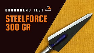 STEELFORCE 300 Grain Single Bevel Broadhead Test [upl. by Inoj]