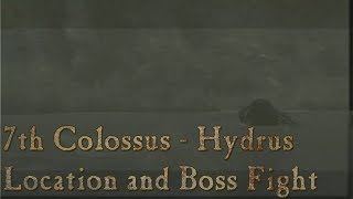 Shadow of the Colossus  7th Colossus  Hydrus Location and Boss Fight [upl. by Rich33]