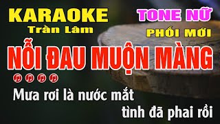 Karaoke Nỗi Đau Muộn Màng Tone Nữ  Dm  Trần Lâm [upl. by Welcy475]