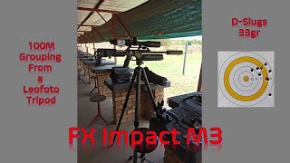 FX Impact M3 100m Grouping DSlugs 33gr [upl. by Niccolo396]