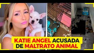 DALAS ACUSA A KATIE ANGEL DE MALTRATADORA DE ANIMALES [upl. by Wilsey]