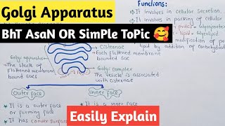 Golgi Apparatus Structure And Functions  Golgi Complex  Class 11 Biology [upl. by Assiroc327]