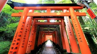 Fushimi Inari  10000 Torii Gates in Kyoto Japan [upl. by Akinorev]