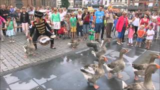 Vlaanderen Feest  Turnhout 11 juli 2014  Ganzenfanfare [upl. by Edy958]