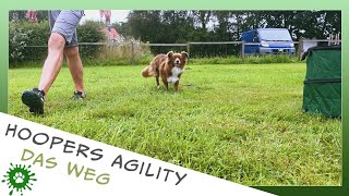 Hoopers Agility 2021  Das Weg [upl. by Greggs628]