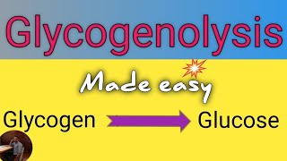 Glycogenolysis Pathway in Biochemistry ll Definition ll Site ll Significance ll Regulation [upl. by Sev530]