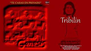 TRIBILIN  GRUPO GENESIS [upl. by Pressey]