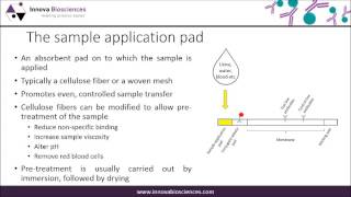 Lateral Flow Webinar A Guide to Lateral Flow Immunoassay Development [upl. by Eleanora6]