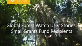 GFW Small Grants Fund User Stories [upl. by Fatma]