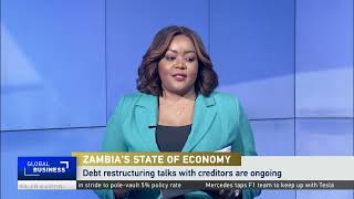 Zambia’s finance minister delivers update on budget and performance [upl. by Sackville]