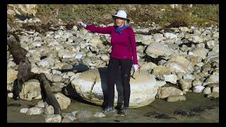 Arroyo Burro Geology Tour Part 5  Fallen Tree [upl. by Katie655]