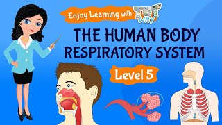 Respiratory System Facts Function and Diseases [upl. by Keir]