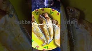 butterfish or pabdah catfish food pabdamacherrecipe fish fishfry shorts [upl. by Saloma]