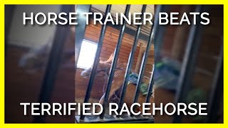 EXPOSED Horse Trainer Screams at Terrifies and Beats Young Racehorse [upl. by Desiree]