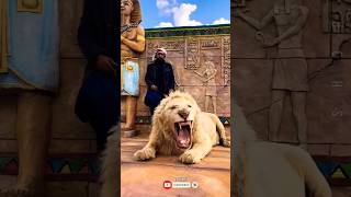 Dubai 🇦🇪 King 👑 Sheikh Nawab With White Tiger 🐯 Lion 🦁 White Tiger 🐅 Dubai shorts shortvideo [upl. by Kalina]