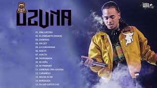 Ozuna Mix 2021  Ozuna Exitos  Mejores Canciones De Ozuna  Album complete de Ozuna 2021 [upl. by Mikes691]