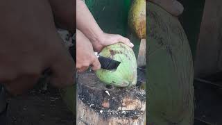 Fantastic coconut cutting style videoviral coconut fypyoutube shortsviral [upl. by Erlene]