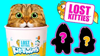 Where are The Lost Kitties  Unboxing the Cutest Cats on the Internet 🙀 [upl. by Damita]