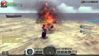 Dragon Nest Lv32 Elementalist skills [upl. by Boehike]