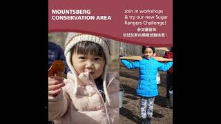 加拿大楓糖漿清甜又營養。安省Mountsberg and Crawford Lake Conservation Areas芒茨伯格和克勞福德湖保護區3月2號4月7號有楓糖節，好吃又好玩，小朋友更喜歡 [upl. by Burton92]