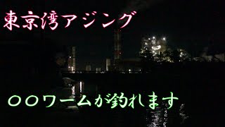 【東京湾】○○ワームはアジに有効 [upl. by Ettelrahc]