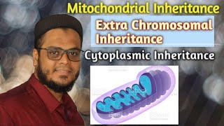 Mitochondrial Inheritance  Extra Chromosomal Inheritance  Cytoplasmic Inheritance [upl. by Schwab347]