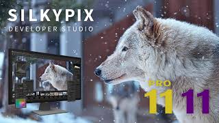 quotSILKYPIX Developer Studio Pro11quot promotion movie [upl. by Sirtimed]