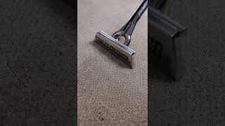 Stanley Steemer Carpet Deep Cleaning [upl. by Reese]