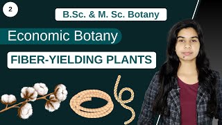 Economic Botany  FIBERYIELDING PLANTS  Botany  B Sc amp M Sc [upl. by Christiansen]