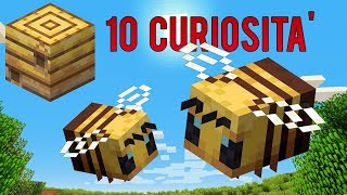 10 COSE CHE NON SAI SULLE API 🌻🐝 Minecraft [upl. by Idou]