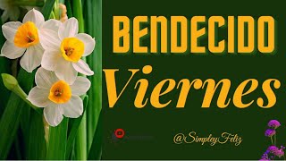 Hoy es un Bendecido VIERNES ☕️🍥🌹 Feliz FINDE 🌲🌿🌾 Lindo Dia lleno de Esperanza y Amor 🌼🔆🌻💐🌸 Buen dia [upl. by Stephanus]