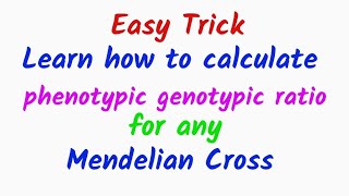 What is Genotypic Ratio of Dihybrid Cross [upl. by Auot245]