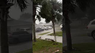 Hurricane Helene 2024 We are away from the water so we are good just strong winds [upl. by Sad]