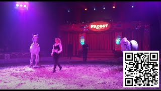 Circus Probst in Rheine  Araber Pferde  Arabian Horse [upl. by Rorke273]