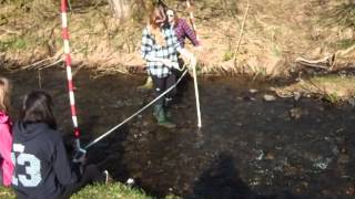 Fieldwork on the River Bollin [upl. by Colette]