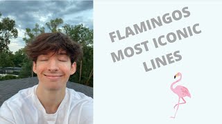 Flamingos most iconic lines [upl. by Enialedam]