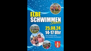 Elbe Schwimmen in Strehla 2024 [upl. by Yewed]