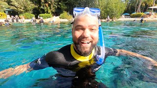 Im Back at Discovery Cove An AllInclusive Day Experience in Orlando [upl. by Kataway]