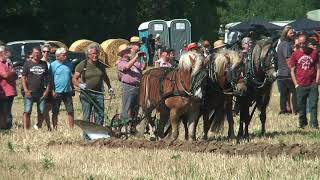 PferdeStark 2019  Leistungspflügen und andere landwirtschaftliche Vorführungen [upl. by Chastain197]