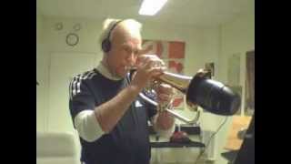 Yamaha quotSilent Brass for Flugelhornquot  Sound Test [upl. by Baldridge671]