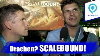 Drachen Scalebound  Lets Play Together [upl. by Eiuqram]