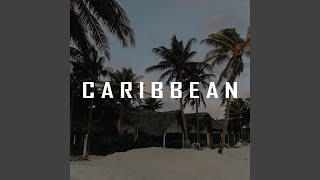 Caribbean Afrobeat Instrumental [upl. by Nerissa]