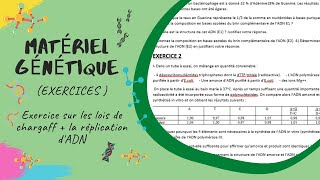 Matériel Génétique EXERCICES  les lois de chargaff  la réplication de lADN L2 SNV Génétique [upl. by Onder754]