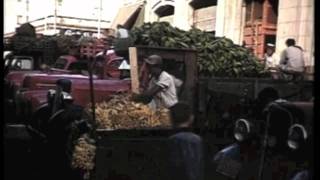 FOOD IN CUBA BEFORE AND AFTER FIDEL CASTROS COMMUNIST REVOLUTION [upl. by Dnomar631]