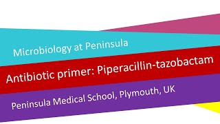 Antibiotic primer 5  piperacillintazobactam [upl. by Nuahsyar]