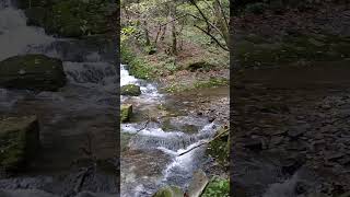 Origin of River Hangang 700m above sea level Taebaek Korea 🇰🇷 26 Sep 2024 [upl. by Cutlip]