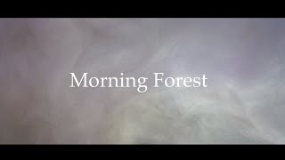 aman daiki「Morning Forest」MV【チルウェイブ（chillwave）トリップホップエレクトロニック】 [upl. by Eilis166]