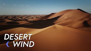 Desert Wind Sound  10 Hours  Stress Relief  Meditate  Sleep  Study  Desert Winds [upl. by Epuladaugairam]